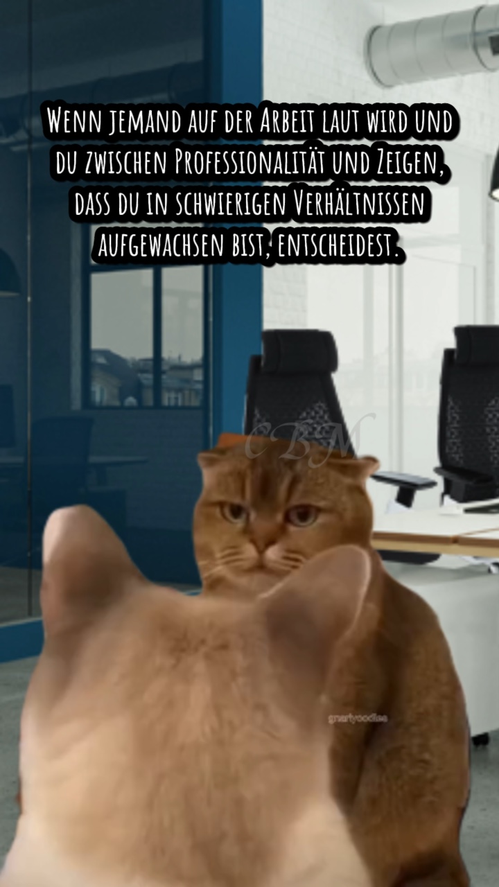 Chats