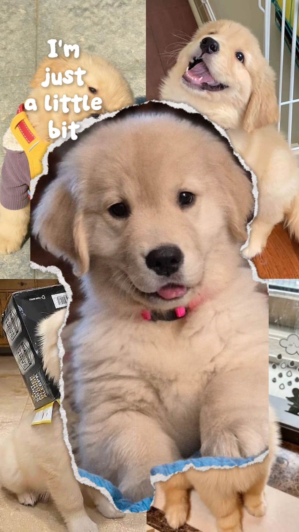 Pelz Baby