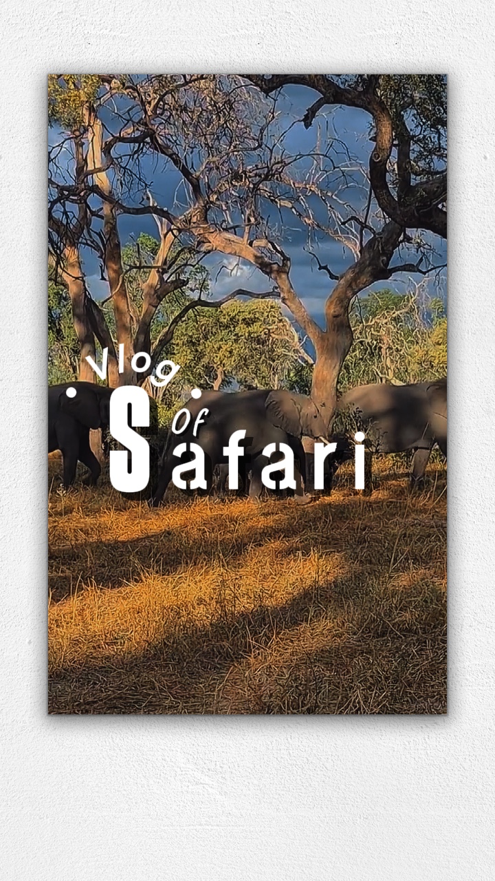 Vlog Safari