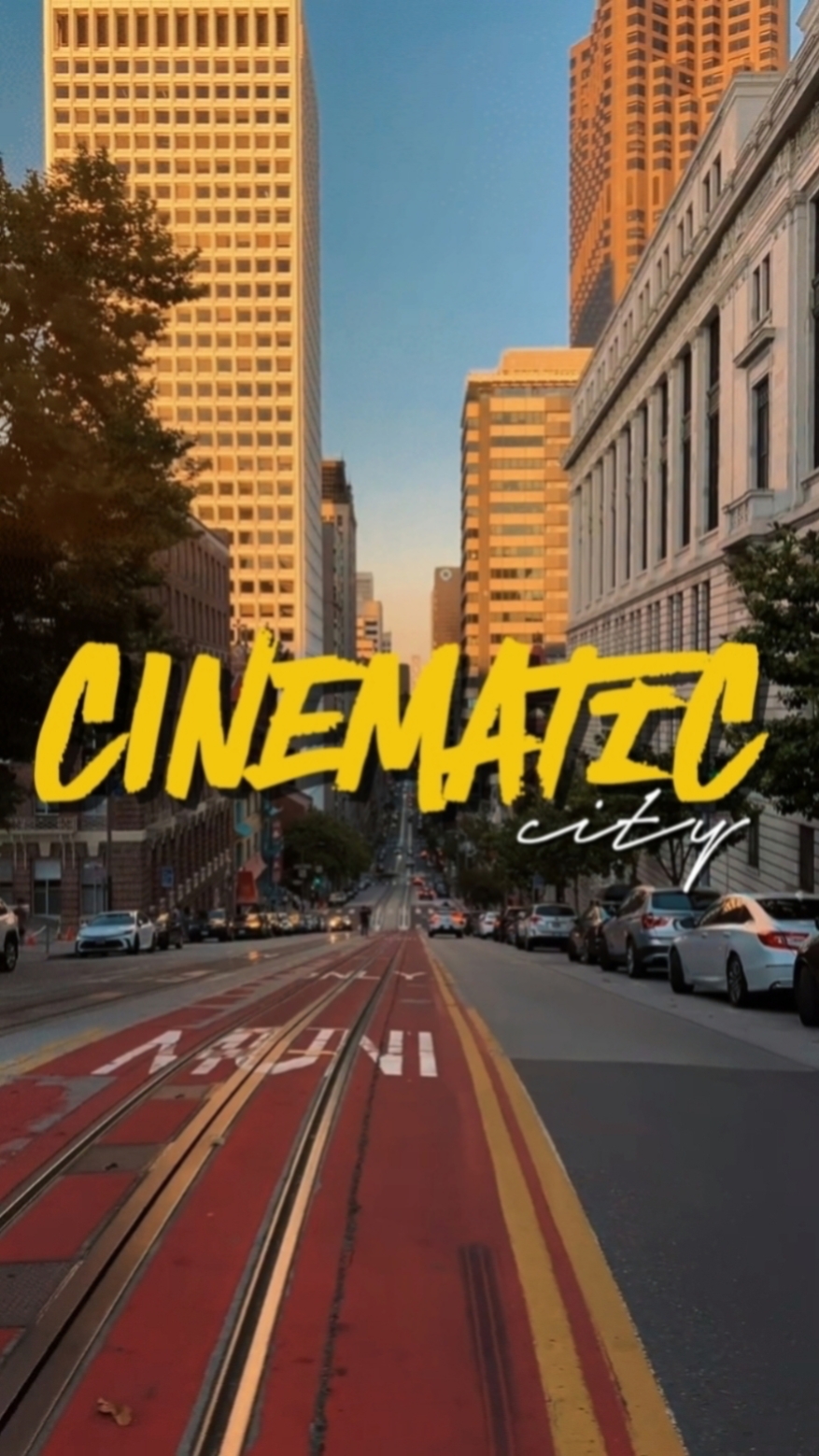 CINEMATIC CITY