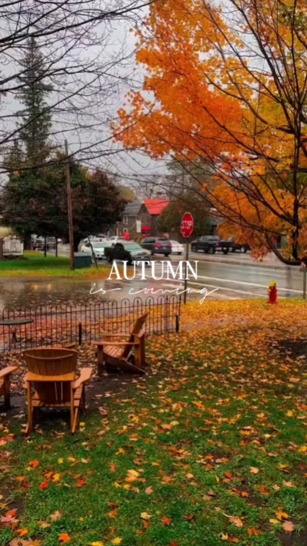 Der Herbst kommt