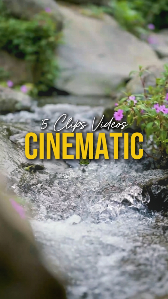 CINEMATIC 5 VIDEOS