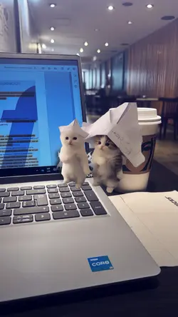 STIKER KUCING JOGET