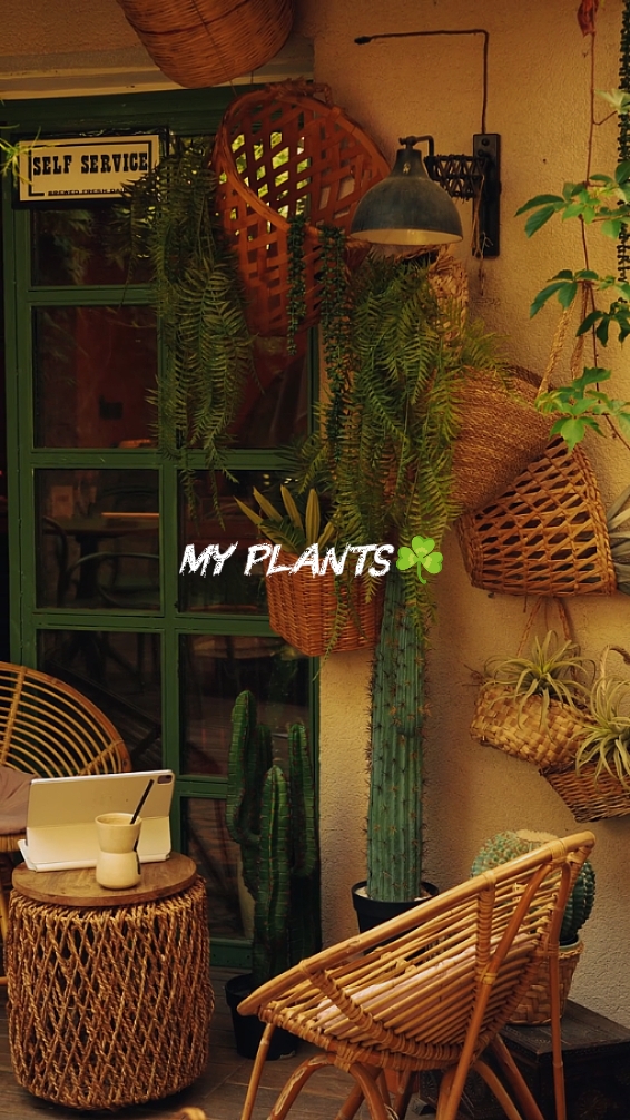 My Plants 