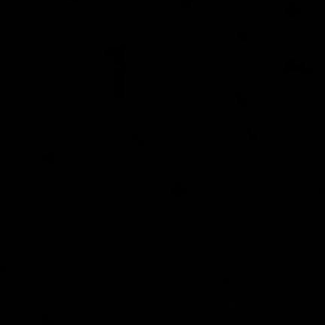 Persona favorita 