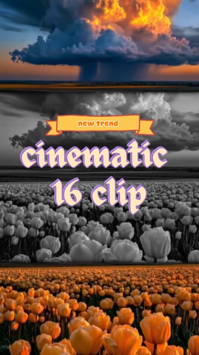 Clip cinematográfico de 16 