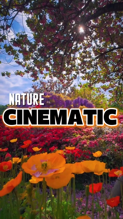 CINEMATIC NATURE