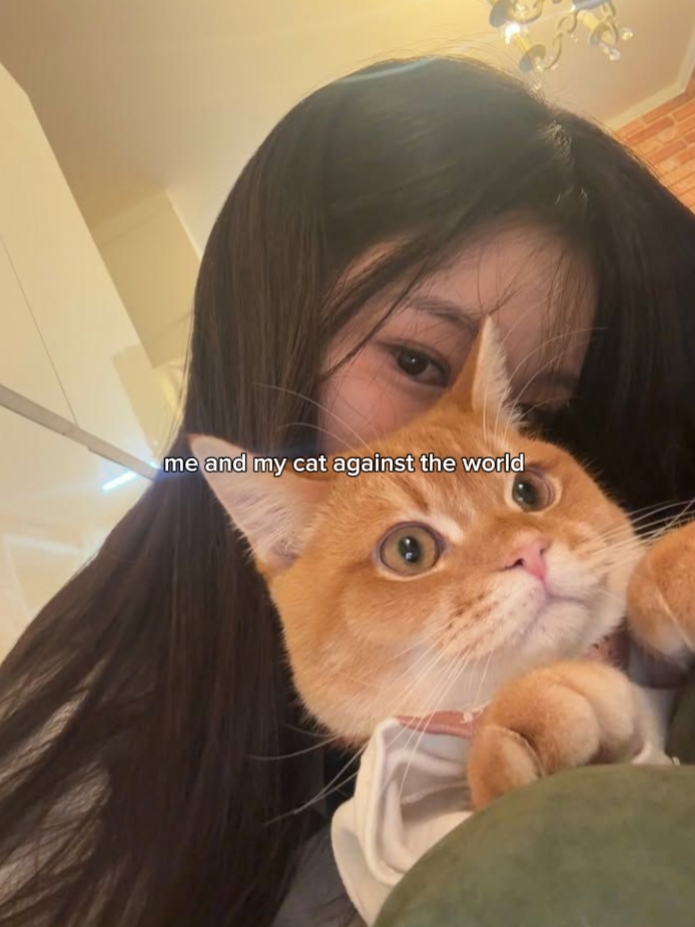selfie avec votre chat 