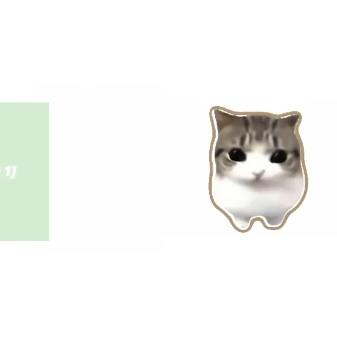 kedi trend resmi