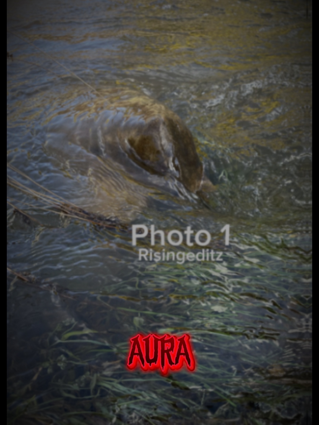 Aura (düzenle)