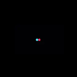 Loading