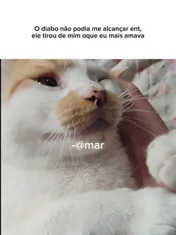 Saudades 