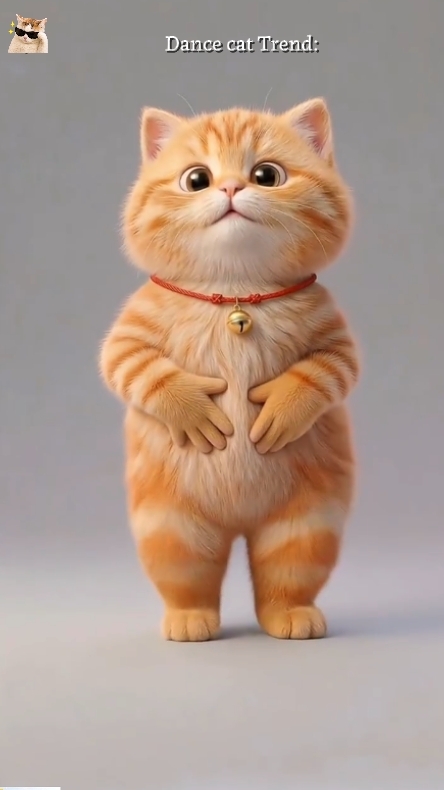 Funny Catt