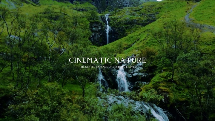 Cinematic Nature