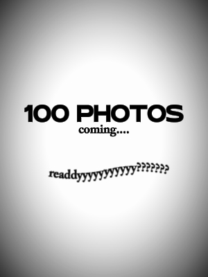 100장의 사진 트렌드 