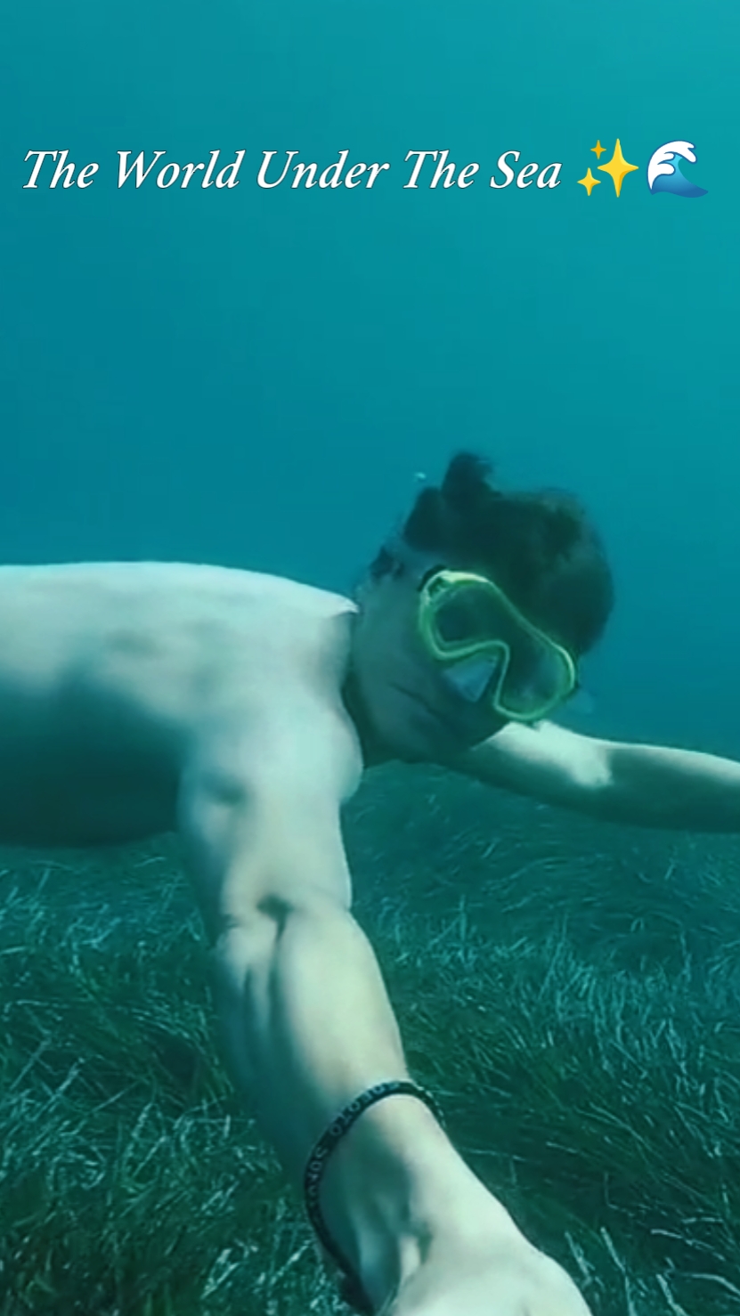 Dunia Di Bawah Laut