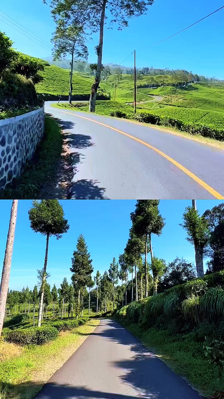 2 video kolase
