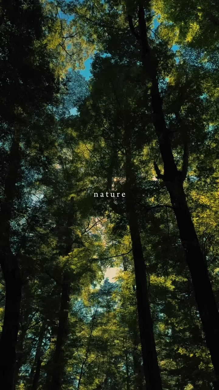 Nature