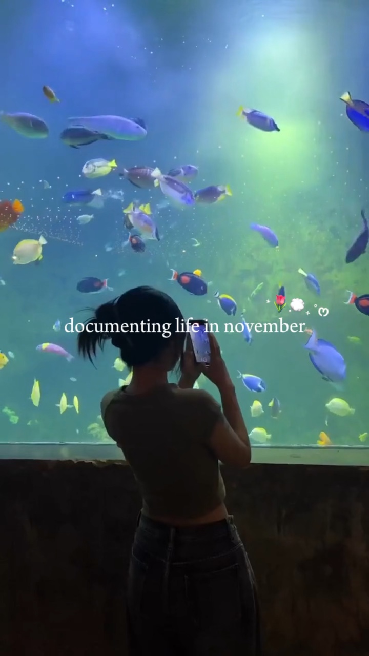 mendokumentasikan kehidupan di 