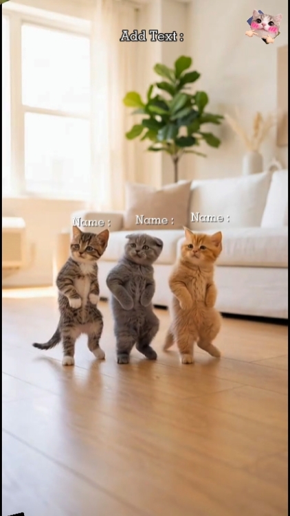 Kucing Dance Lucu