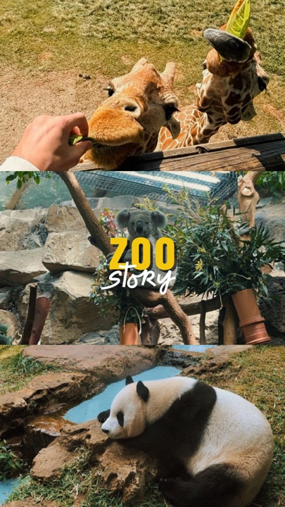 Historia del zoológico