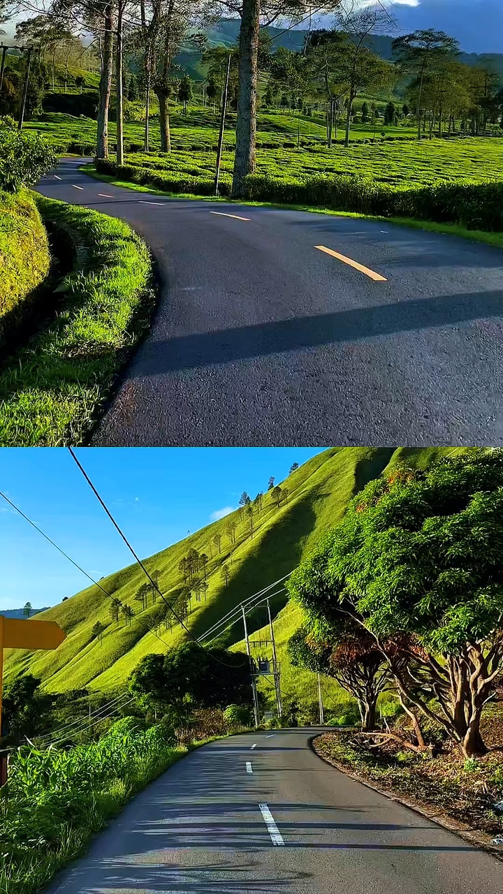 2 video collage