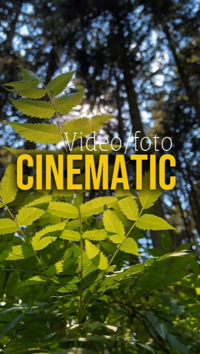 7 Clips Video 