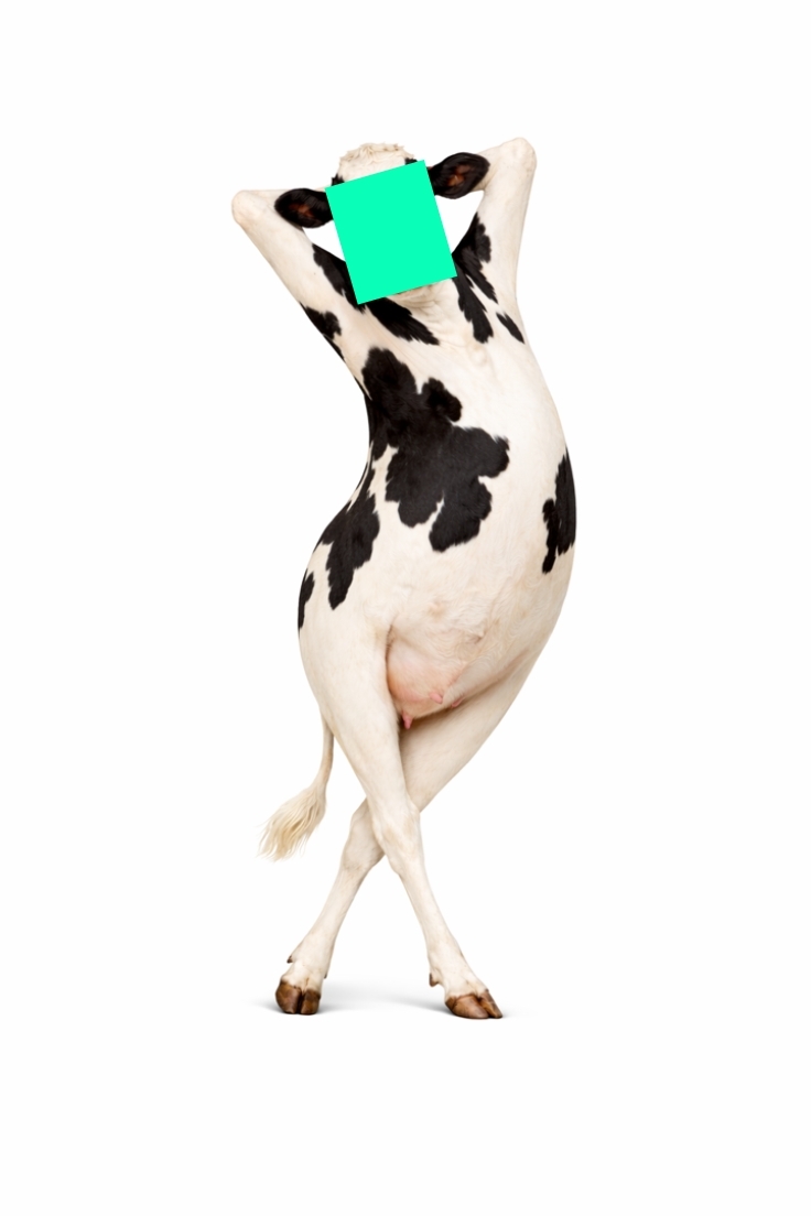 uas funny templates