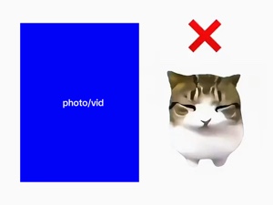 Photo/vid