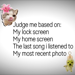 Julgue-me!