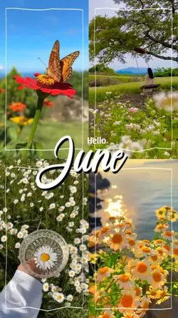 HELLO JUNE 