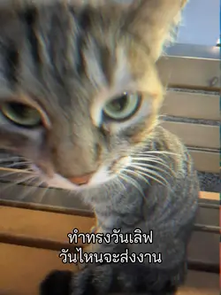 ครูตามละนะ