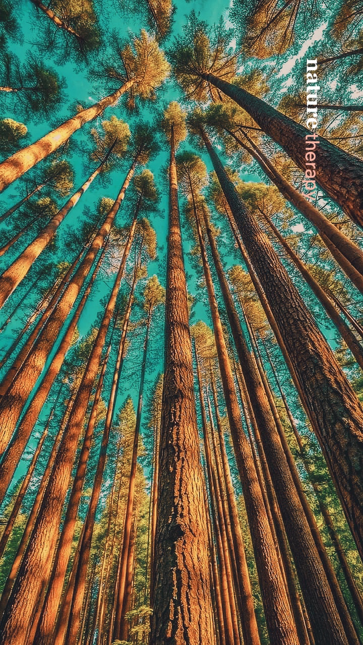 Terapia da Natureza❤️