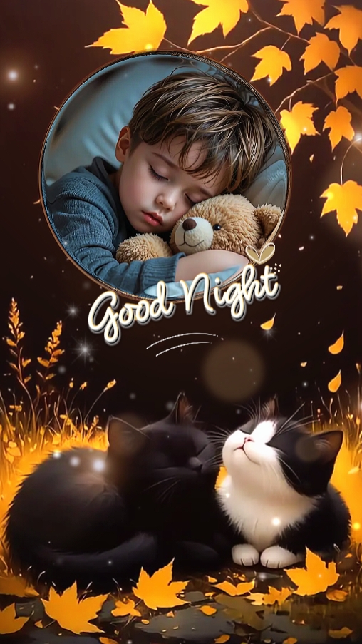 Buenas Noches