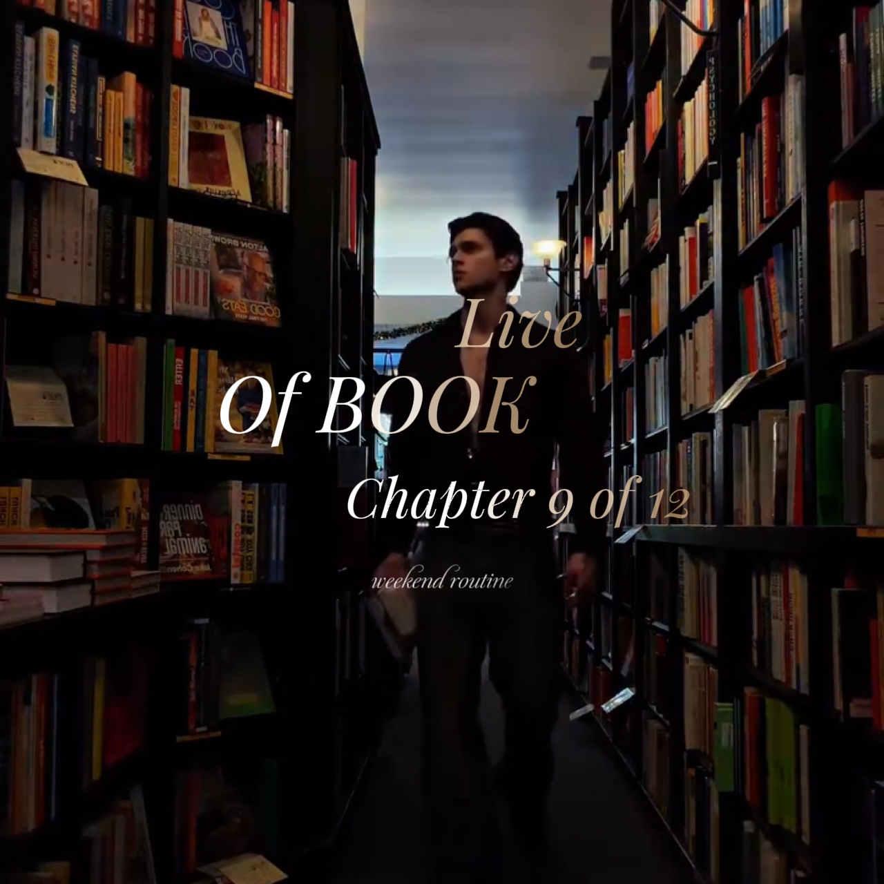 vlog perpustakaan