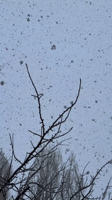 SNOW_TEMPLATE