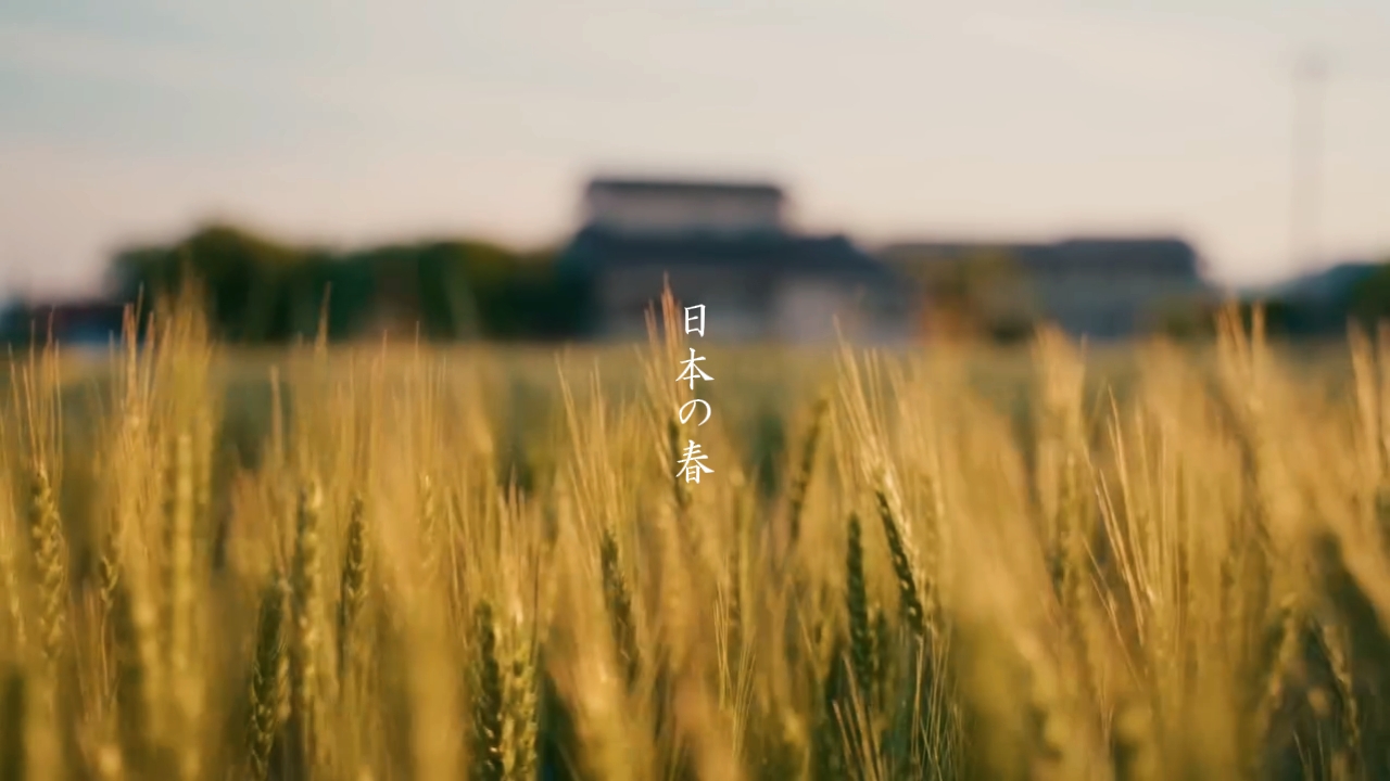 日本の春