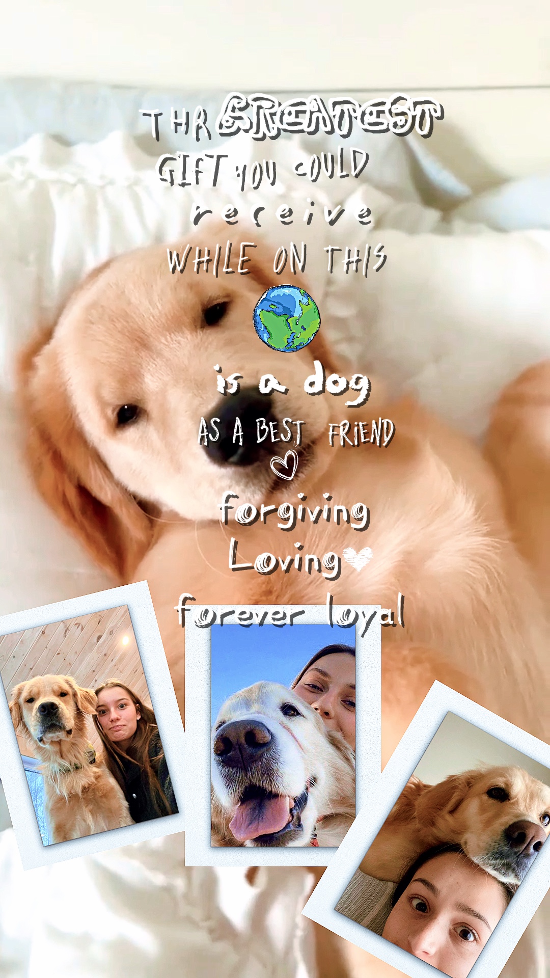 Dog love 2 🤍