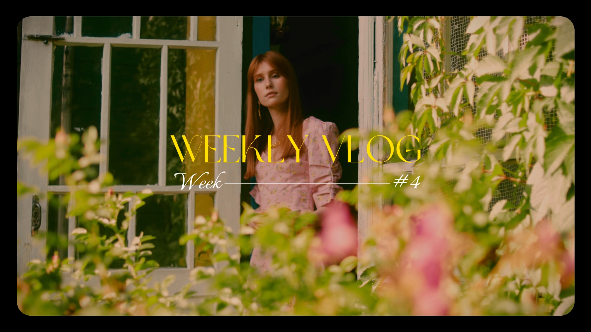 Daily Intro