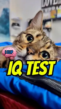 ๐จIQ CHALLANGE๐จ