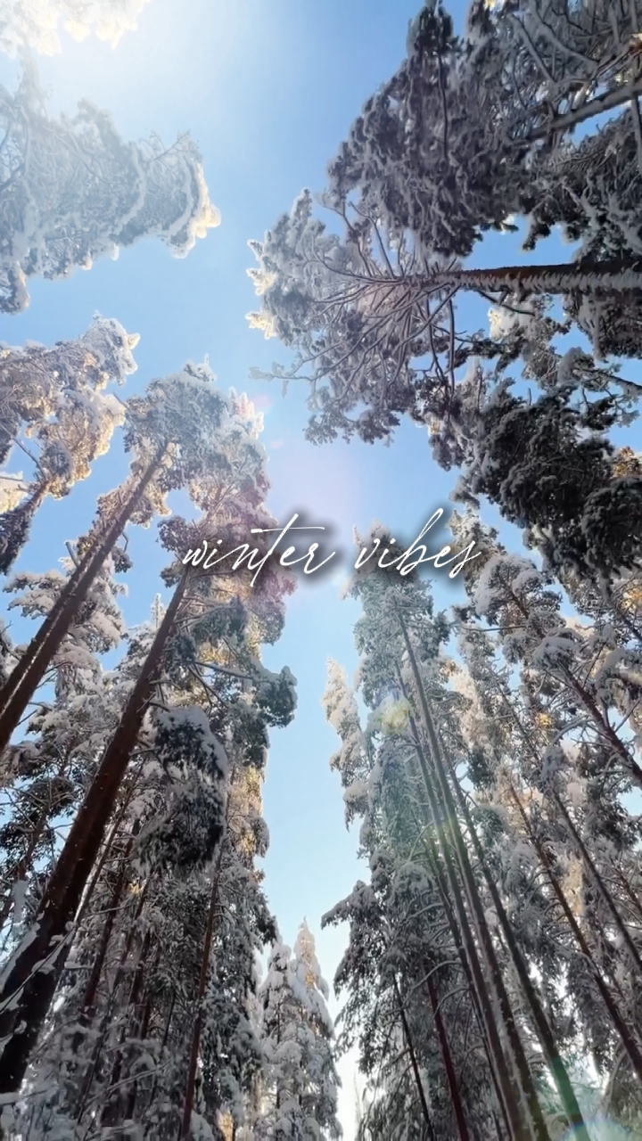 winter vibes 
