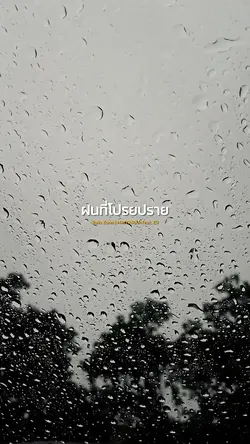 Rain Zone
