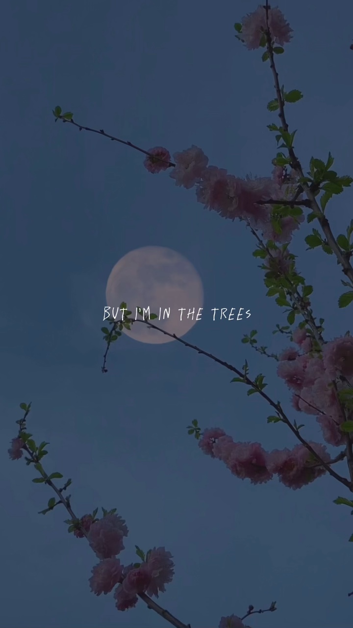 but i’m in the trees