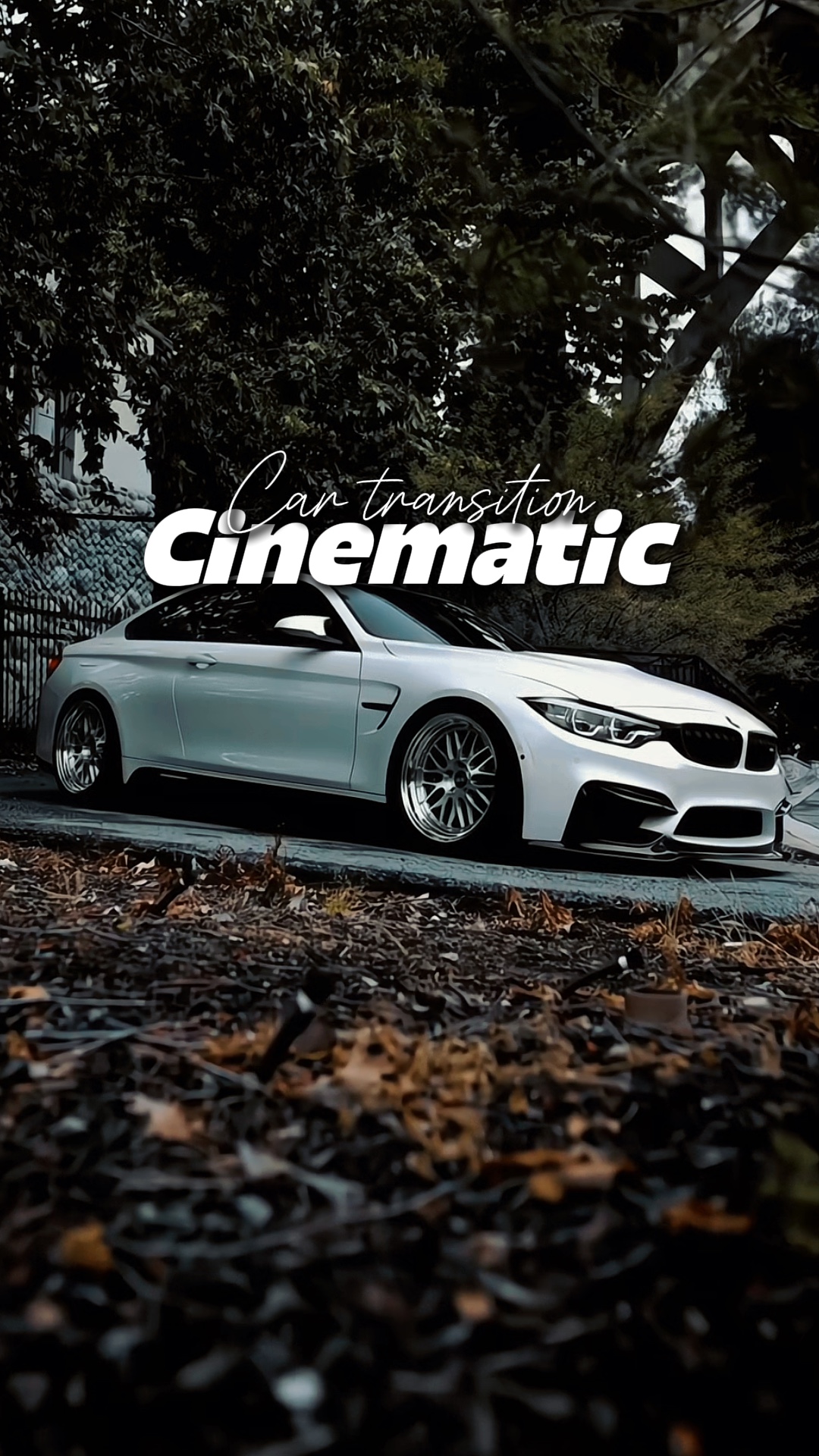 Cinemática Edición de coche