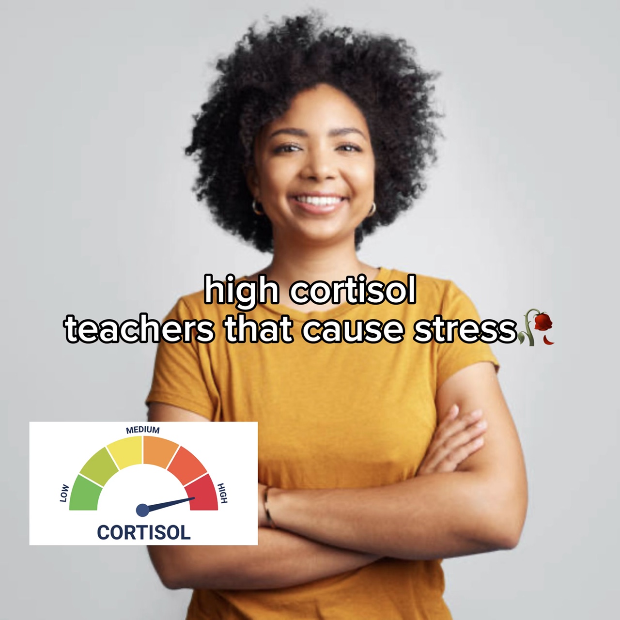 High Low Cortisol