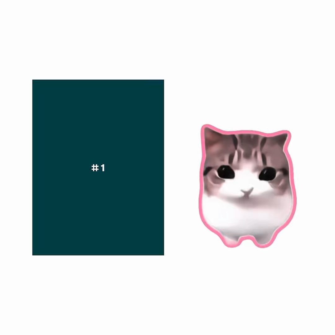 DAMDAM DIDIDI CAT