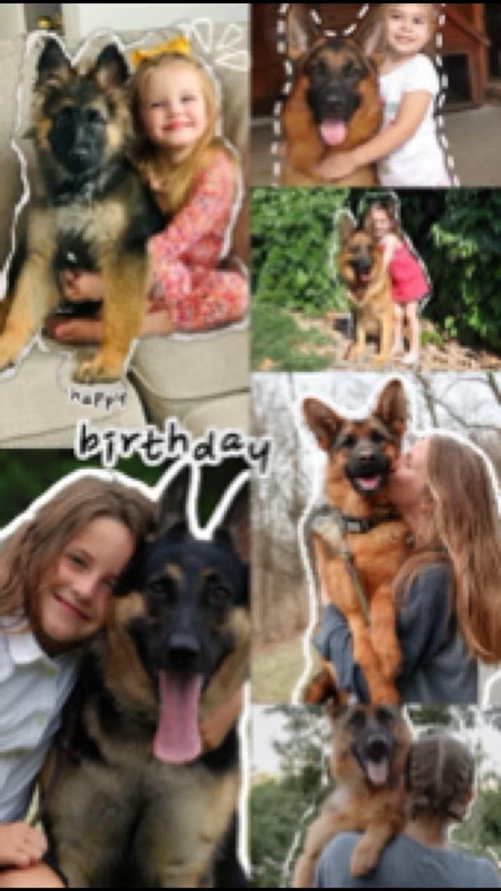 Birthday my dog