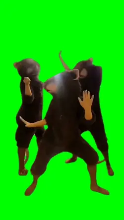 Rat Dance