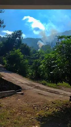 Desa