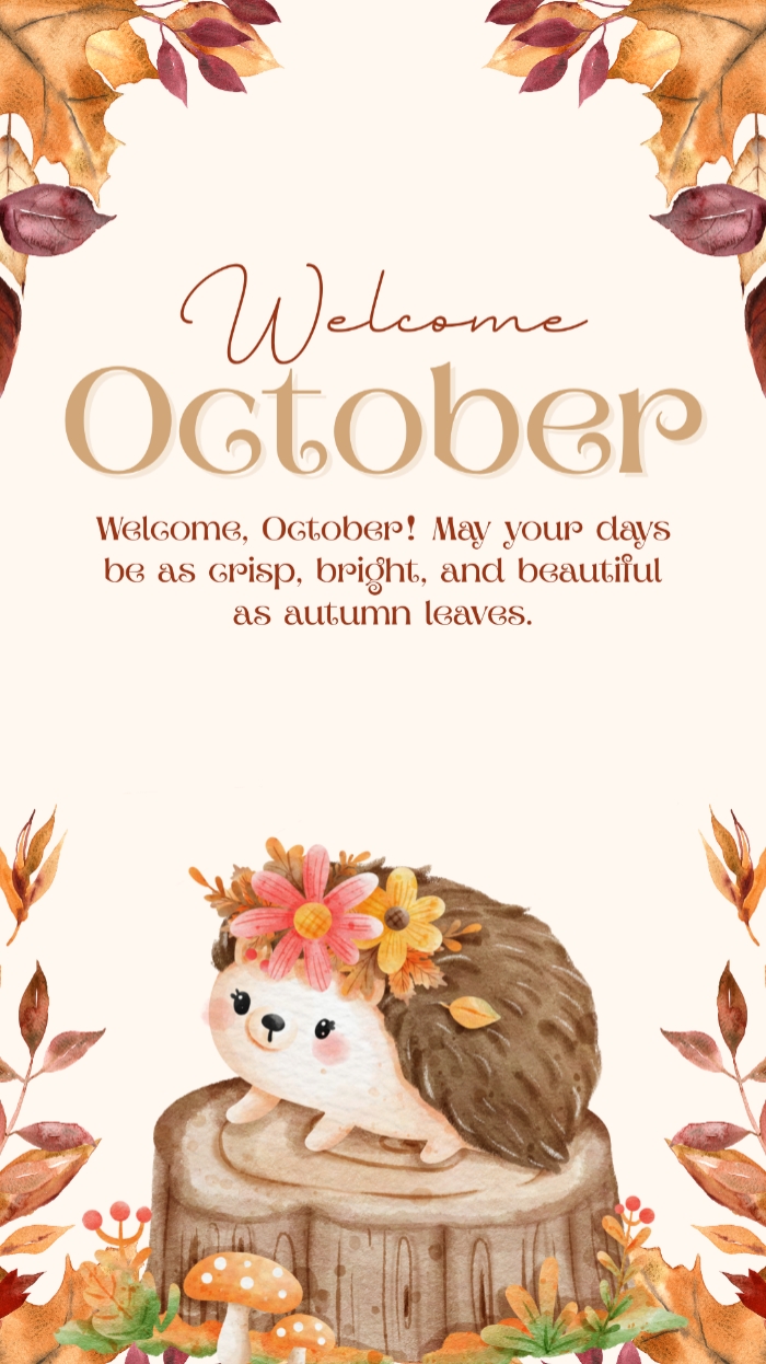 WElcomeEkim